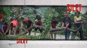 Misteri Hutan Rimba di Kalimantan