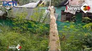 Pohon Durian Tumbang Timpa Sekolah Di Mandailing Natal