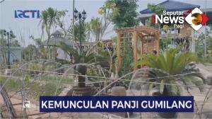 Kemunculan Panji Gemilang di Indramayu