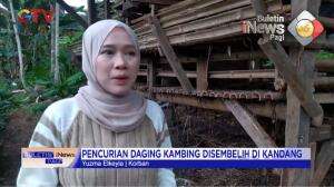 Aksi Pencurian Daging Kambing