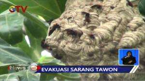 Damkar Kembali Penuhi Laporan Sarang Tawon