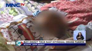 Awasi Anak Anda! Bayi di Bogor Digigit Tikus Got Saat Tidur