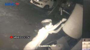 Sepasang Kekasih Mencuri Burung Senilai Jutaan Rupiah