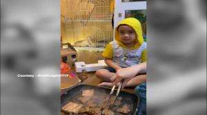 Keseruan Yang Dibuat Dirumah Antara Rafathar Dan Kiano