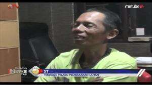 Pelaku Pembakaran Lahan Ditangkap