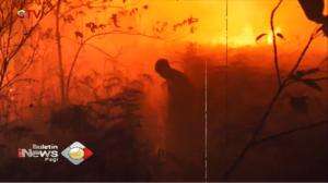 Penyidikan Tersangka Pembakaran Lahan