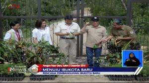 Pemindahan Ibu Kota Baru Dipastikan Tidak Ganggu Populasi Orang Utan di Kalimantan