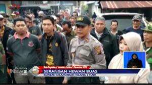 Diterkam Harimau, Petani Kopi Tewas Dengan Tubuh Tidak Utuh