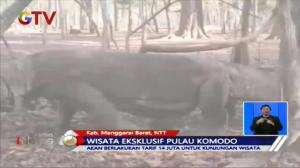 Pro Kontra Wisata Premium Pulau Komodo