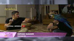 Irfan Hakim Latih Burung Macau Biar Nurut
