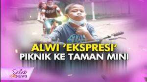 Keseruan Alwiansyah Jalan-Jalan ke TMII