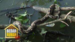 Bintang Tamu Rizky Amalia Terkejut Melihat Ular Saat Membantu Pak Sanen Mencari Ikan