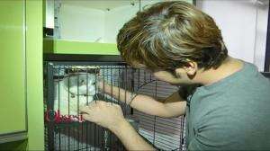 Kesibukan Kriss Hatta Bersihin Kandang Kucing Kesayangannya