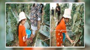 Arsy Dan Arsya Pengen Metik Tomat