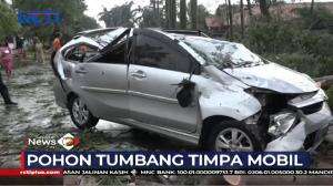 Pohon Tumbang Timpa Mobil Hingga Rusak