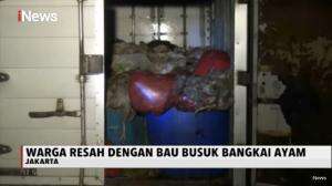 Warga Resah Bau Busuk, Ratusan Bangkai Ayam Ditinggal Pemiliknya di Mobil Box di Matraman