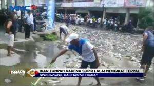 Banjir Ikan Patin di Singkawang