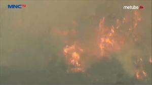 Api Mengepung Pemukiman Warga