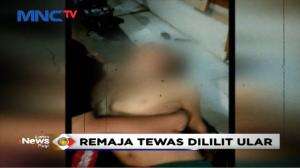 Remaja Pria Tewas Dililit Ular Sanca 5 Meter