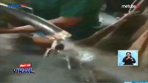 Viral! Berlagak Pintar Gas Elpiji