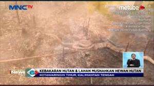 Karhutla, Banyak Ular Terpanggang