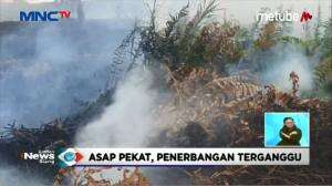 Kebakaran Lahan Di Sekitar Bandara APT Pranoto Samarinda