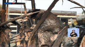 Kendaraan Jadi Sasaran Demonstran