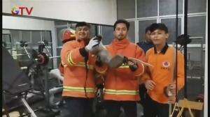 Monyet Masuk Rumah Mewah