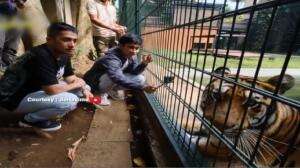 Irfan Hakim Jadi Saksi Perjodohan Harmau