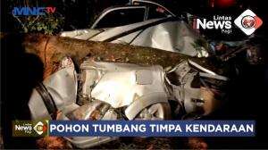 Pohon Tumbang Menimpa Minibus