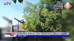 Pohon Tumbang Timpa Rumah Warga