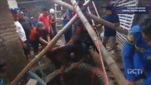 Awas! Sapi Masuk Sumur