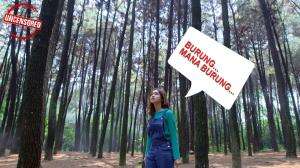 Kocak, Sempetnya Nyari Burung Pas Lagi Akting Di Hutan..