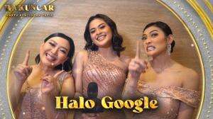 Halo Google