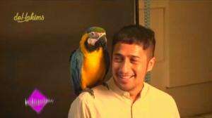 Artis Indonesia Yang Sangat Menyayangi Hewan Peliharaannya