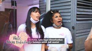Serunya Para Miss Bersihin Kandang Lynx - HSB Eps 60
