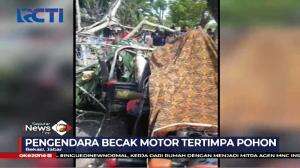 Pengendara Becak Motor Tewas Tertimpa Pohon