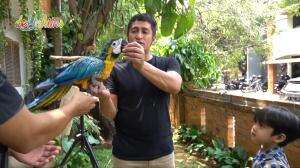 Ayah Irfan dan Kang Djalu Latih Ola - Mom and Kids Eps. 298