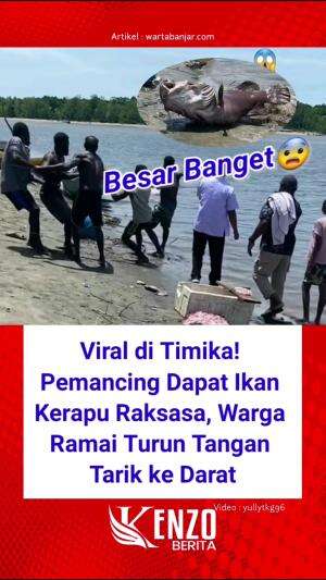 Ikan Raksasa dari Timika  #News  #RCTIPlus 