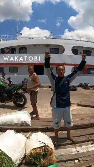 BURUH pelabuhan WANCI emang JUARA #wakatobi #wakatobiisland🏝 #sulawesitenggara #wanci #wangiwangi #buruhpelabuhan #buruh