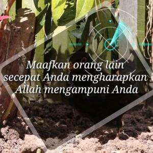 MAAFKANLAH ORANG LAIN
#motivasiislam #nasihat #islam #motivasi #nasihatkehidupan #quotesislam