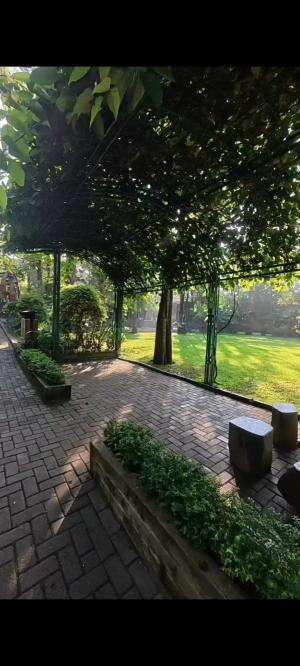 pagiiiii yang indah

 #pagi
 #alam
