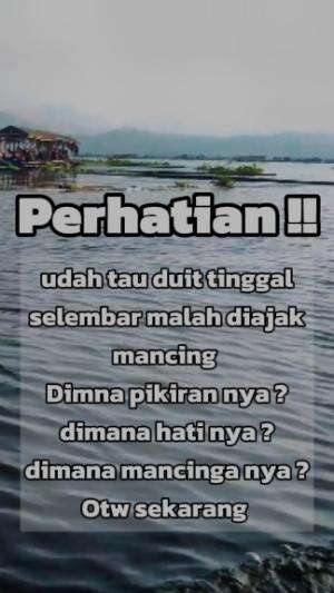 Perhatian untuk semua para angler liar ‼️ 🗣️🗣️

 #fishing #memancing  #mancingnila  #Minggu adalah waktunya mancing 🍃😎🐊🐟🎣 #spotmancingcirata