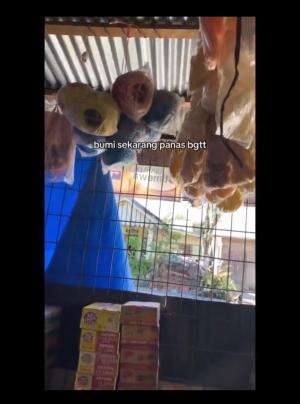 Bumi terasa makin panas, Cowok ini malah masuk ke freezer ice cream sampe tiduran dan bawa bantal yg berujung terkunci.