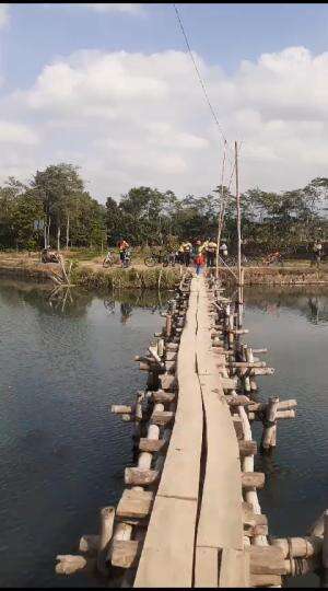 Rowo kancu Lumajang 