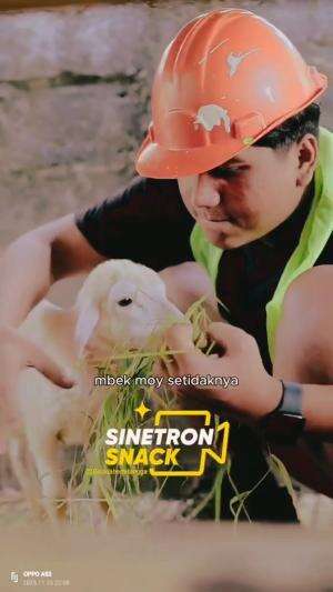 menikah dengan kambing part 2 #drama
