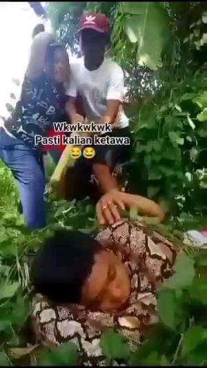 ULAR MAKAN MANUSIA

#videolucu #videokocak #videohalu #videojenaka #videomeme #videongakak