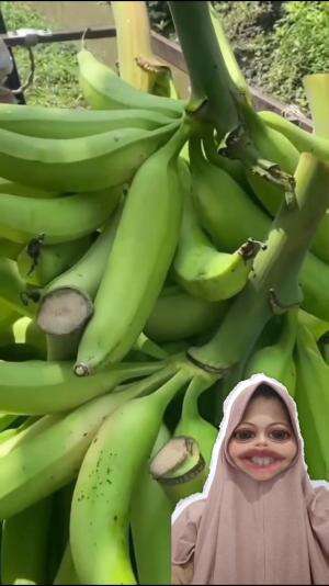 ayo pisang apa #RCTIPlus  #Lagi mam pisang  #Viral 