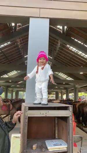 Noora survey kuda #Kudanya Versi Apa Nih?  #NooraKhadijahAlKhered  #RCTIPlus  #contentcreatorpemula  #masyaallahtabarakallah 