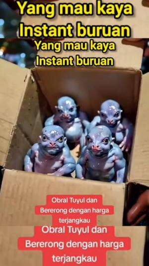 jangan coba² ya.. 
 #News  #Seleb On News  #Viral 